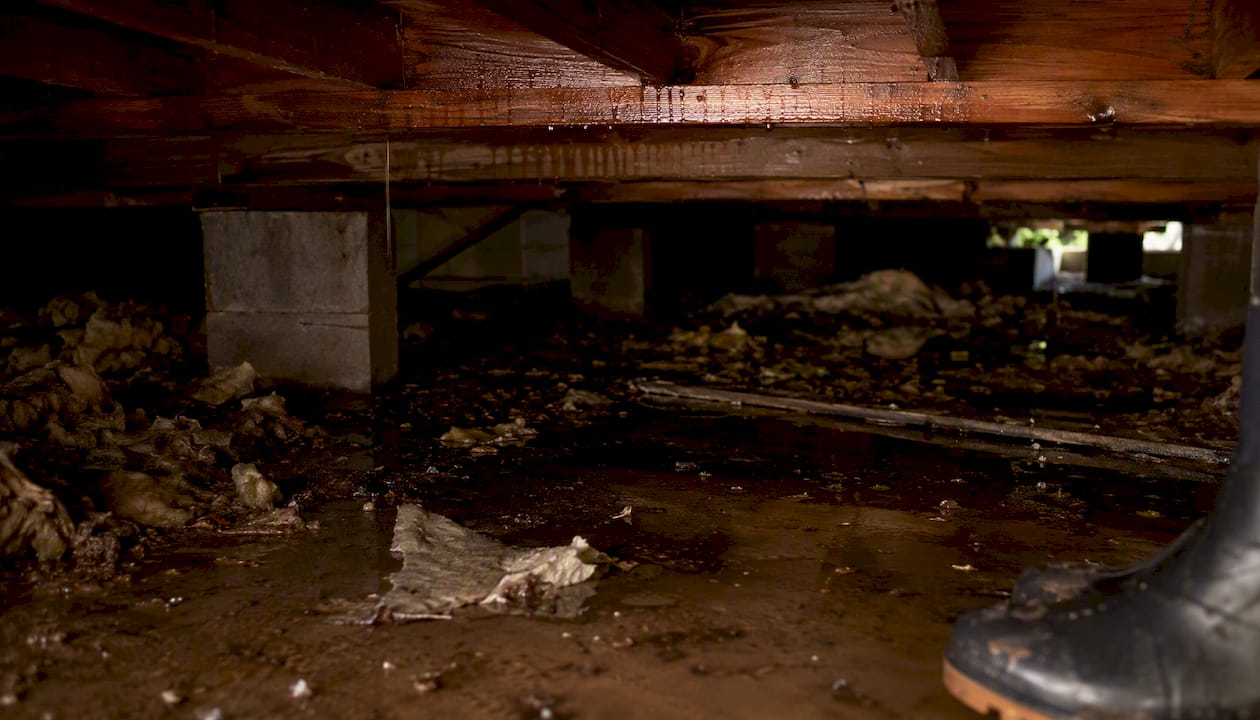 Wet wooden joists and flooded crawl space floor
