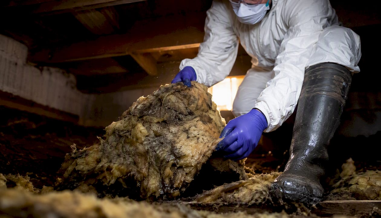 Gloved hands removing wet crawl space insulation