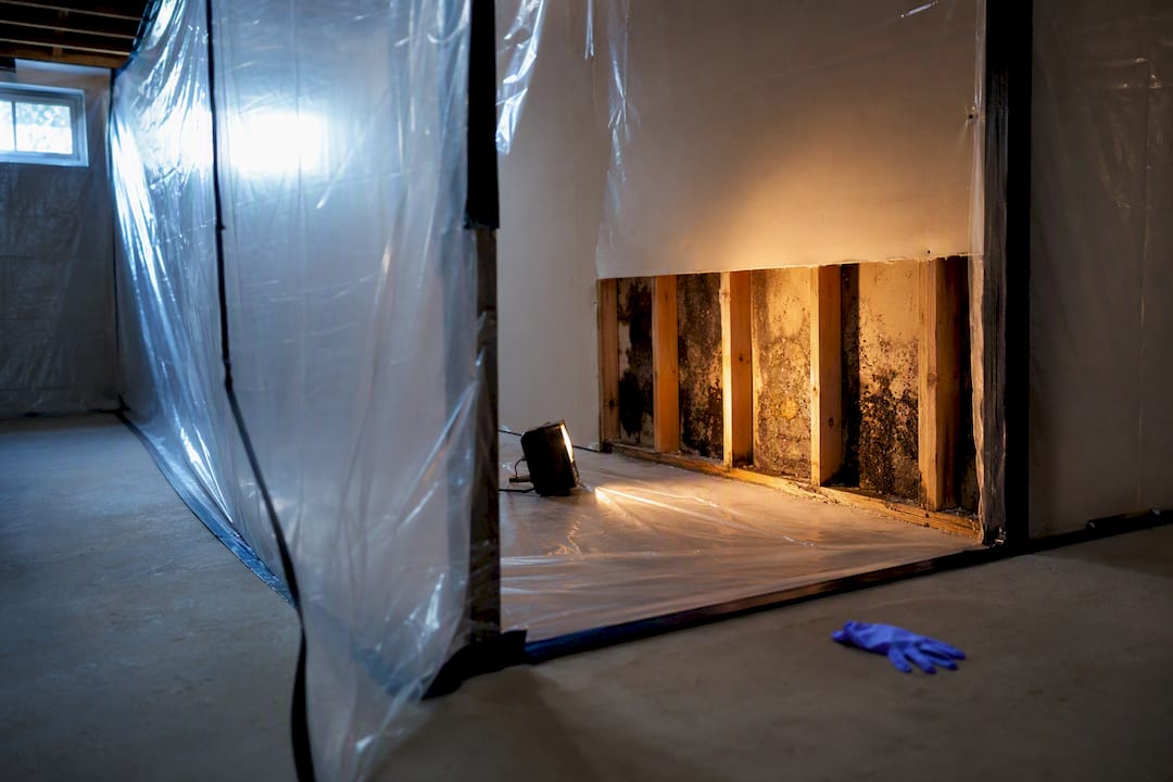Mold remediation work area in Chicago basement