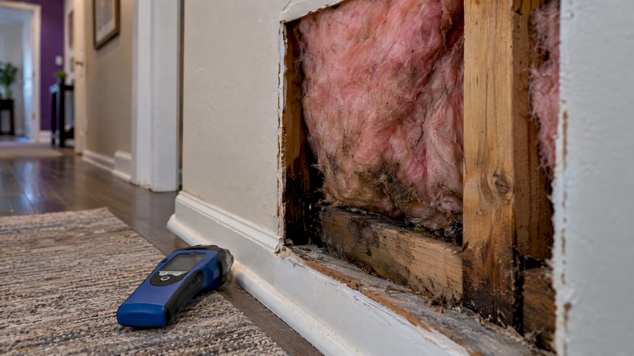 Damp insulation visible inside a wall